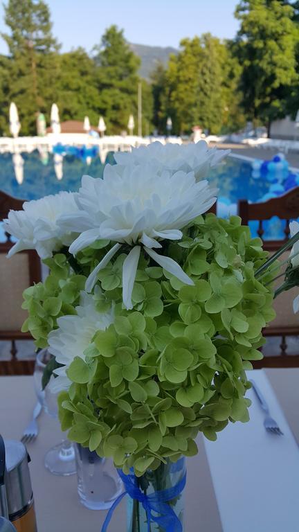 Spa Hotel Medicus วาร์เชทส์ ภายนอก รูปภาพ